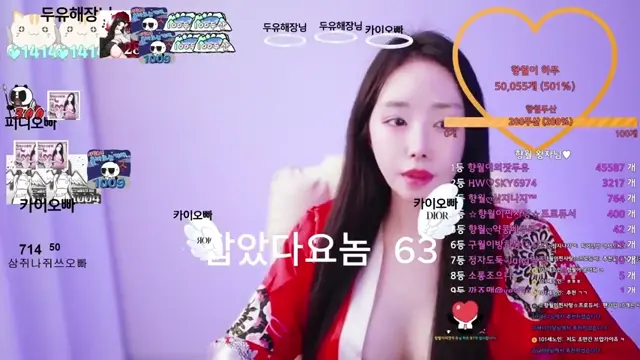 과거가 너무화려했던 여캠
