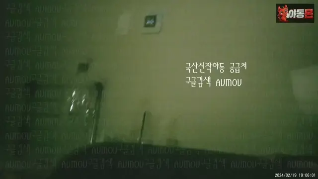 OP키방_스캔들_신입녀극강의_오럴마무리