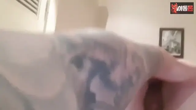 진정한 프로씹질러라면 왼손 오른손 가리지않지