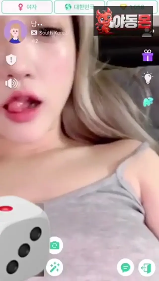 아자르 회색나시녀