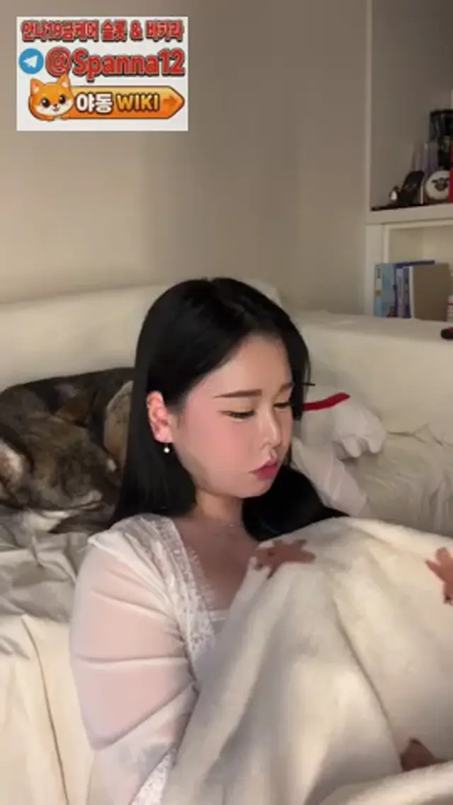 아프리카 비제이 인스타 후원방 2