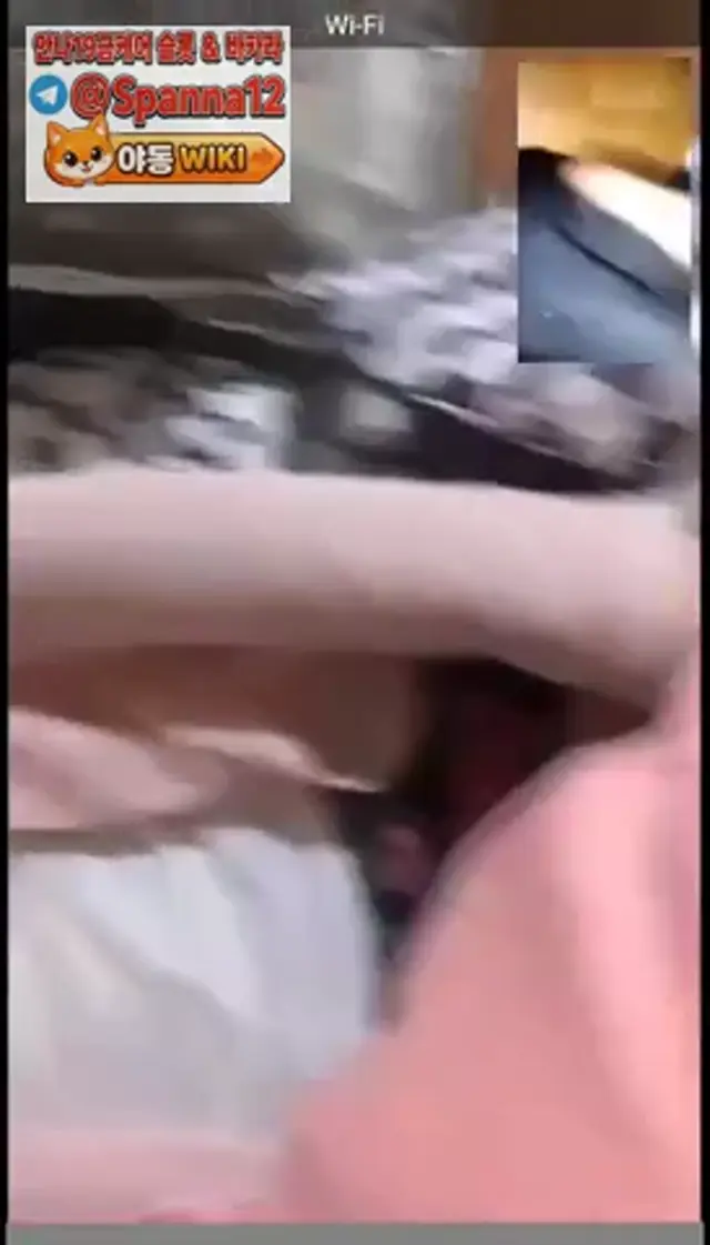 강초의 2