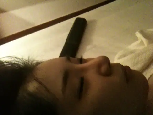 코알라김담비2