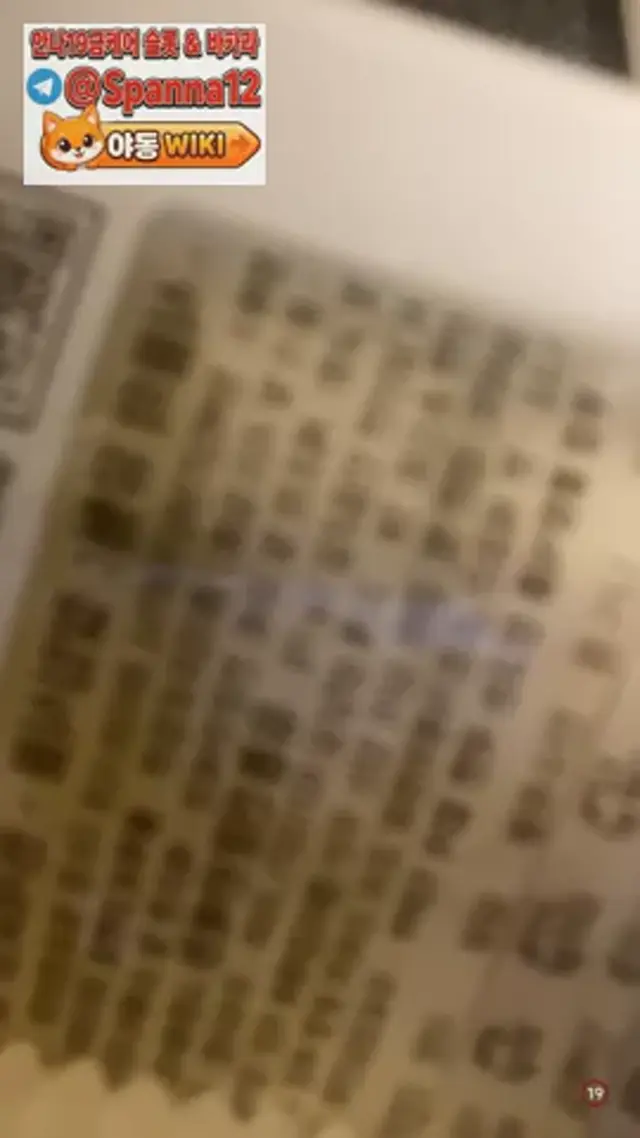 지능적으로 꼭노 시전하는 아프리카 비제이들