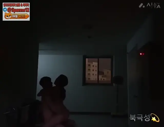 트위터 북극성 야외플
