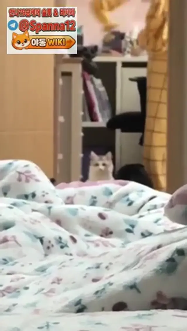 여동생 촬영하는 언니