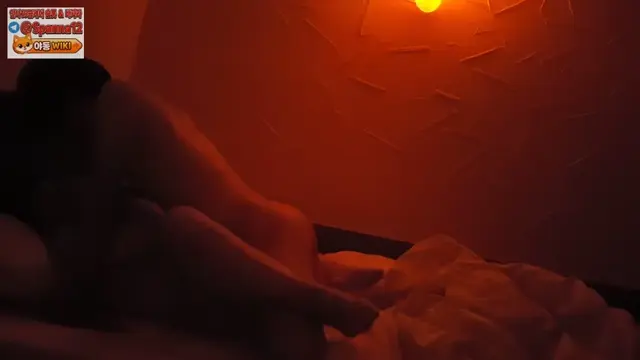 똥꼬 시도
