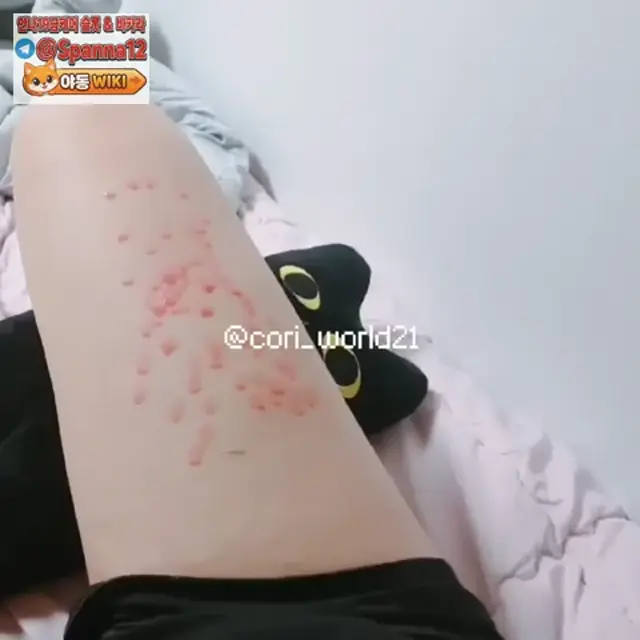 도용러들에게 부모님 안부를 묻는 관종 섹트녀 2