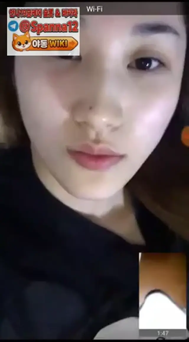 강초의 3