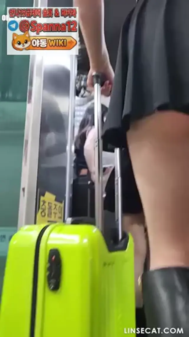2020년 한국 편의점 업스커트