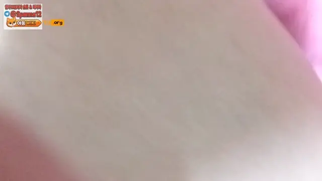 (국내) 위아래 넣기 넌 이런거 좋아 하잖아