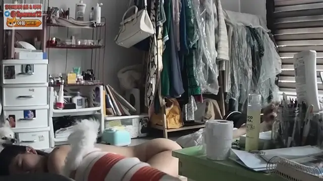 강아지 보빨 자위