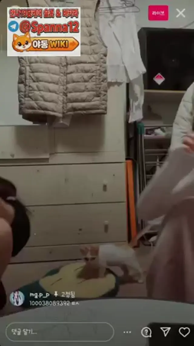 인스타 소은이 라방 합방