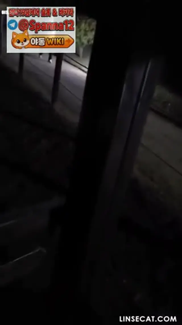 편의점, 버스, 정류장 가리지 않고 야외에서 딸치는 미친놈