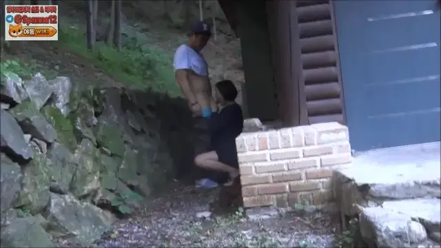 대낮에 야노 사까시
