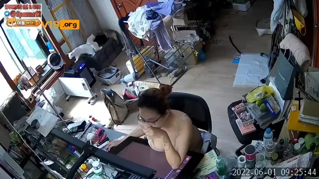 IP_거유 웹툰녀 방안