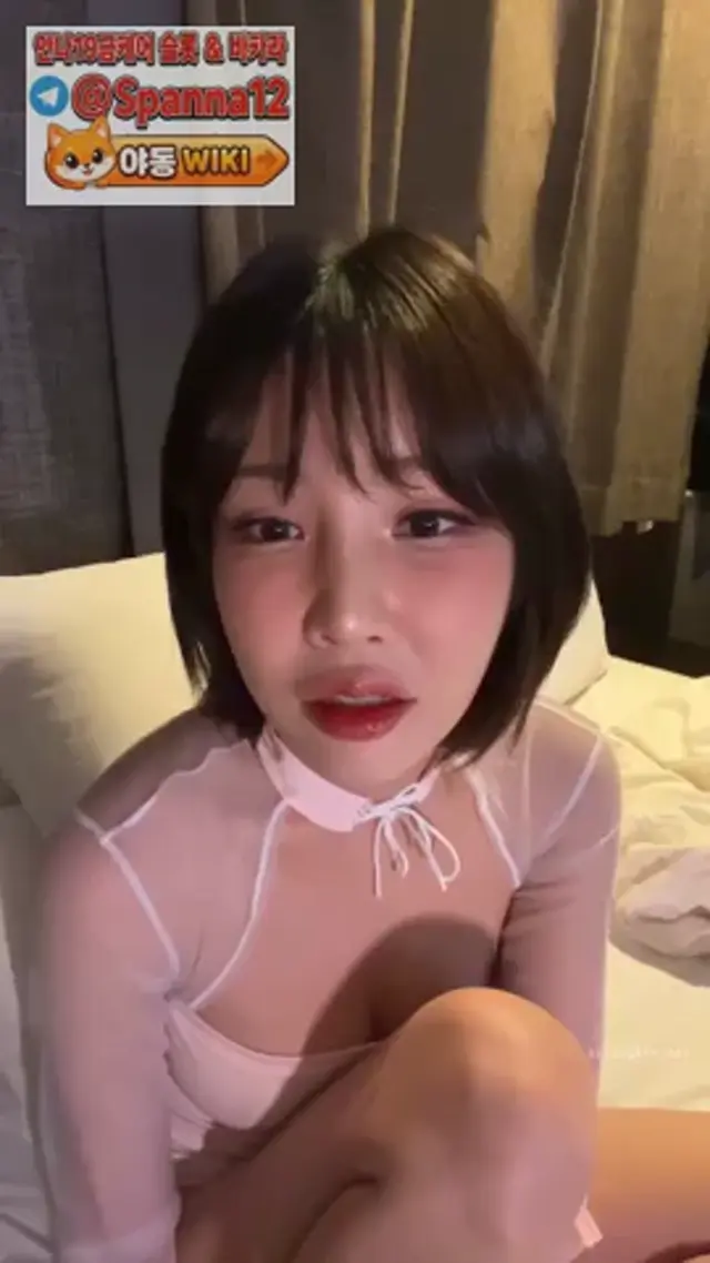 라이브 방송