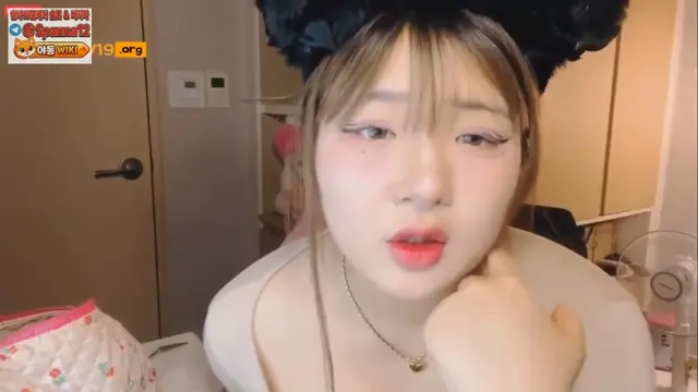 비고에서 밴드