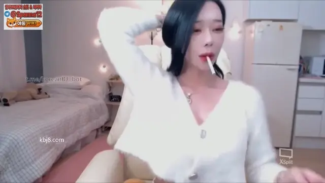 유튜버 ㅅㅂ와 결론한 셀리